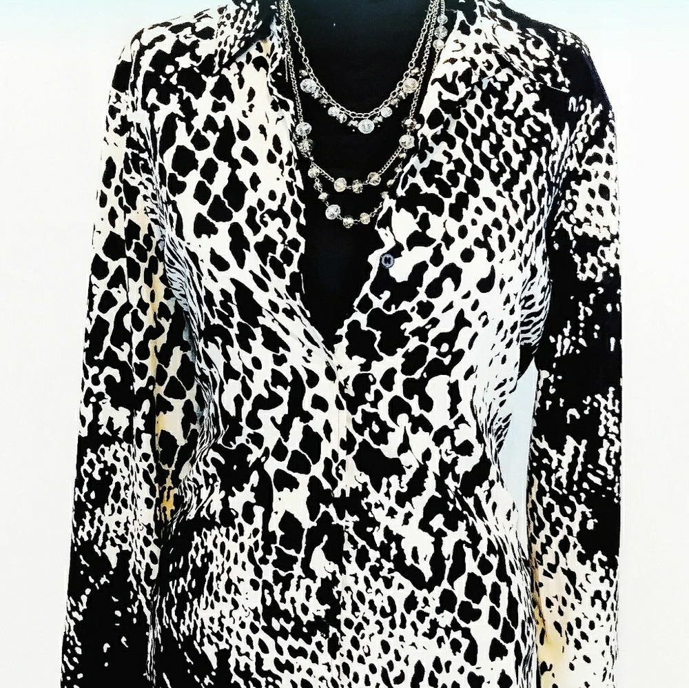 "Nordstrom Rack Josephine Chaus" Button-up Blouse